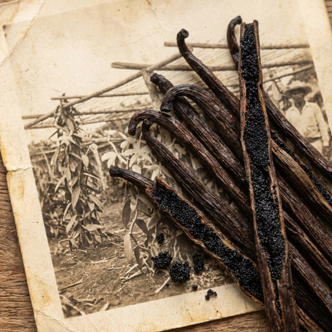 Sustainably Sourced:
