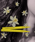 Vanilla Crown - Body Mist - Scents Unearthd